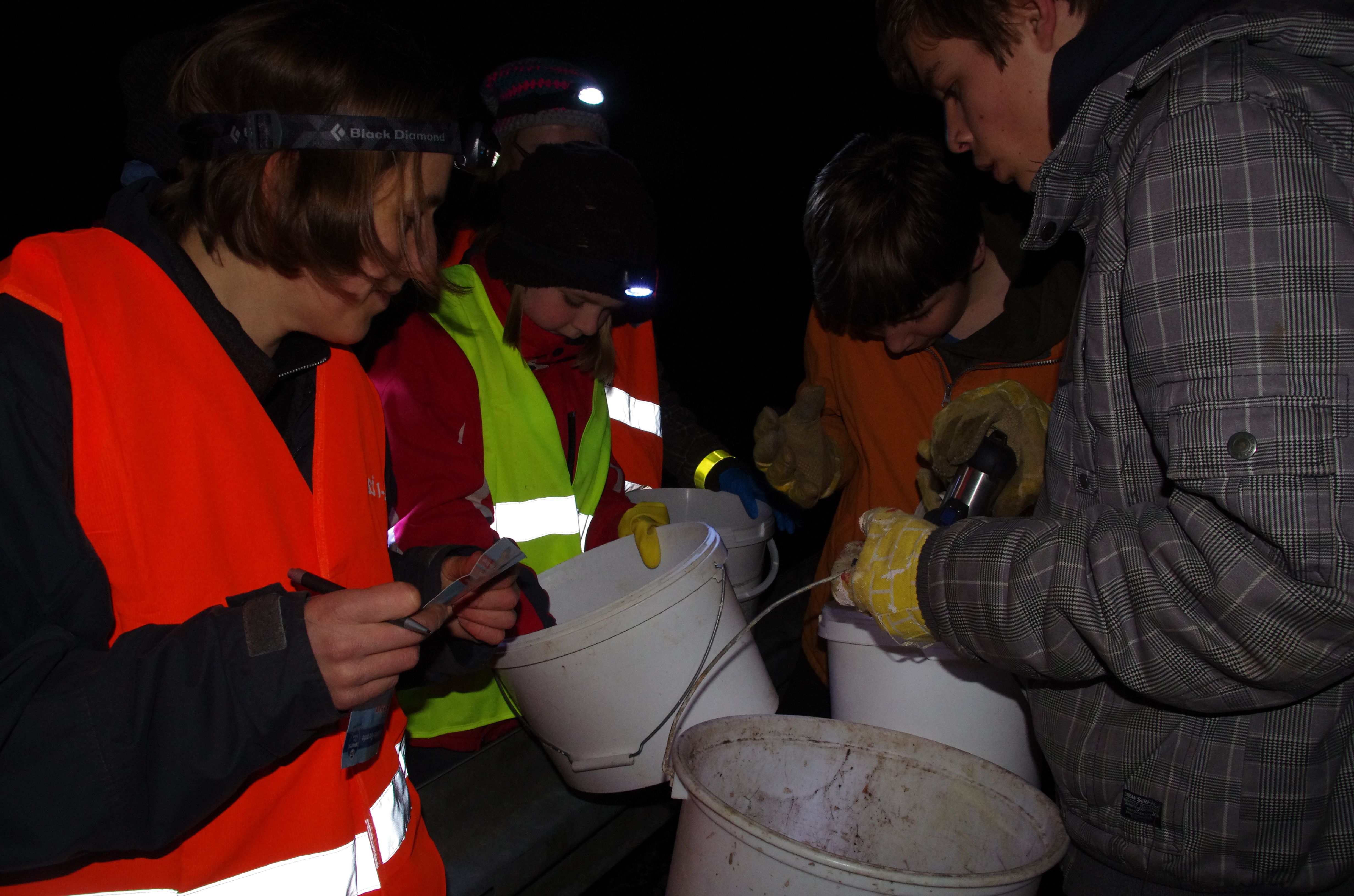 Foto © Dieter Jetschni