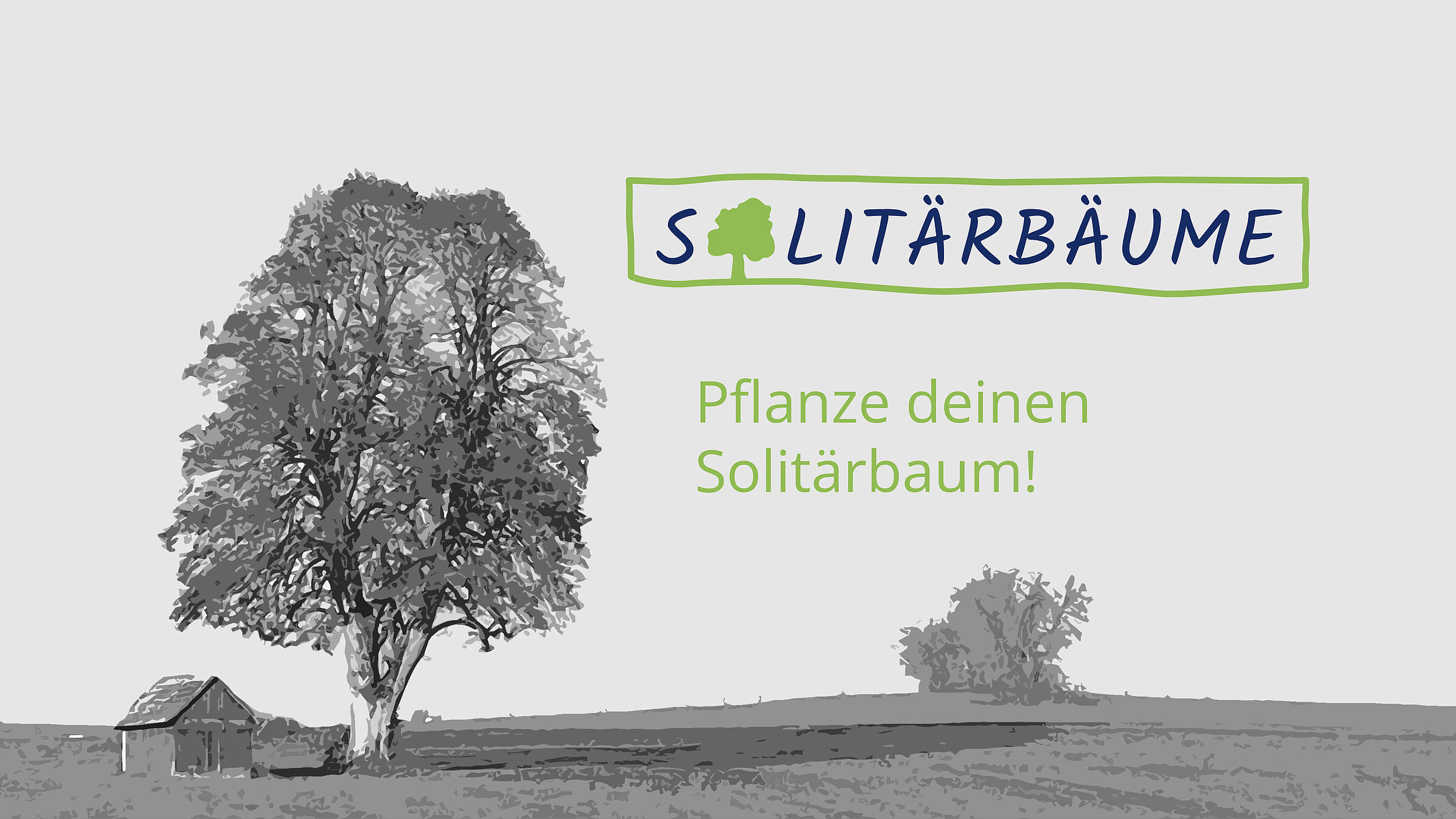 Grafik Solitärbaum © Agrokraft GmbH